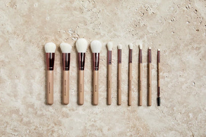 10 Piece Brush Set | FERNANDO X SILK OIL OF MOROCCO | $159